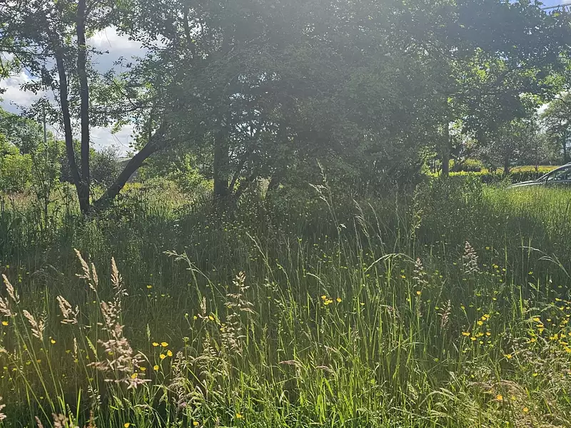 Terrain, 5 181 m²