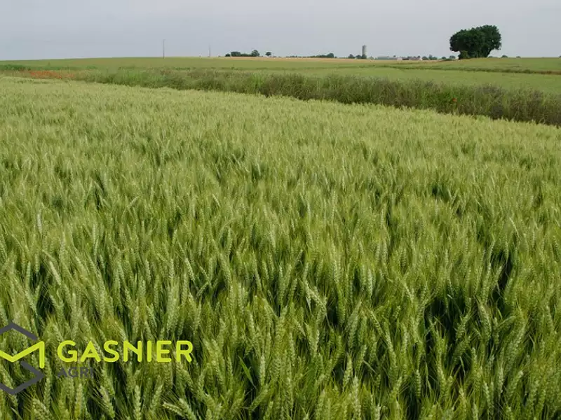 Divers, 1 000 000 m²