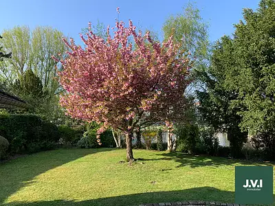 Maison, 340 m²