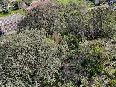 Terrain, 2 259 m²