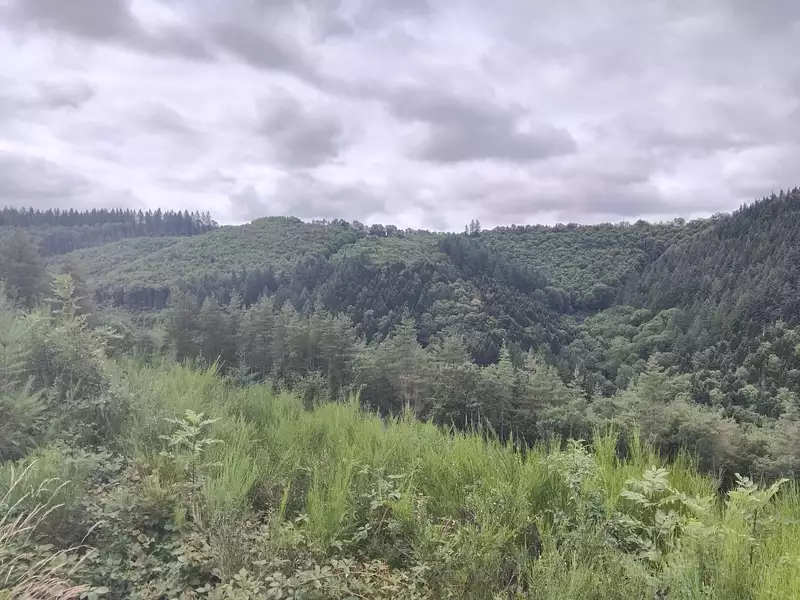 Terrain, 225 742 m²