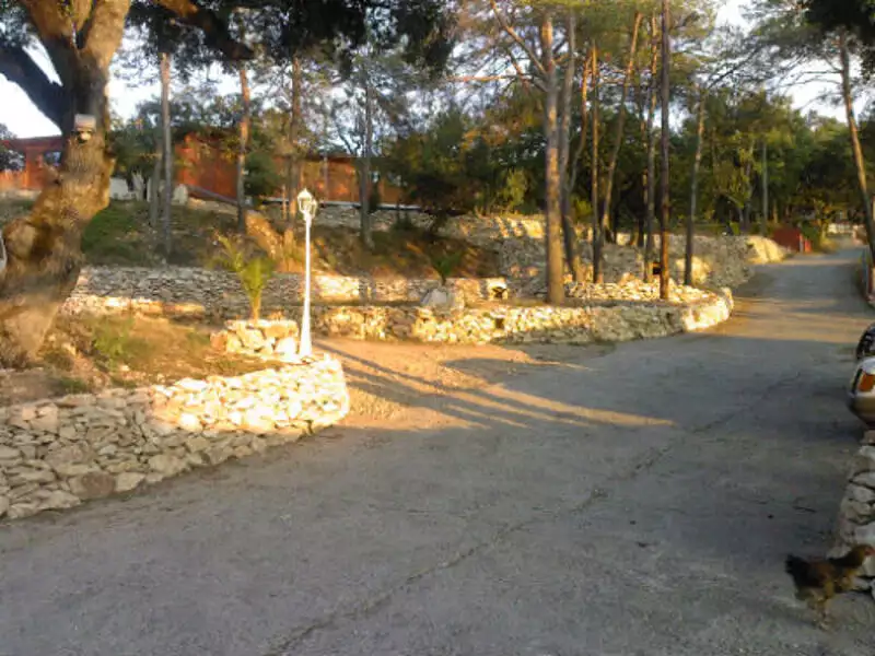 Terrain, 160 000 m²