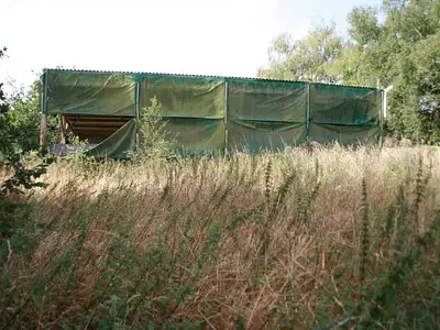 Terrain, 3 000 m²