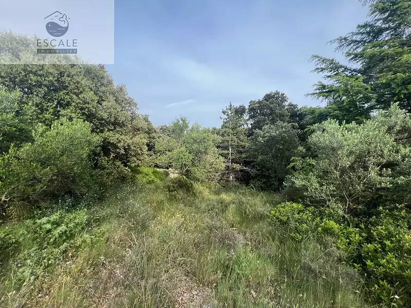 Terrain, 6 091 m²