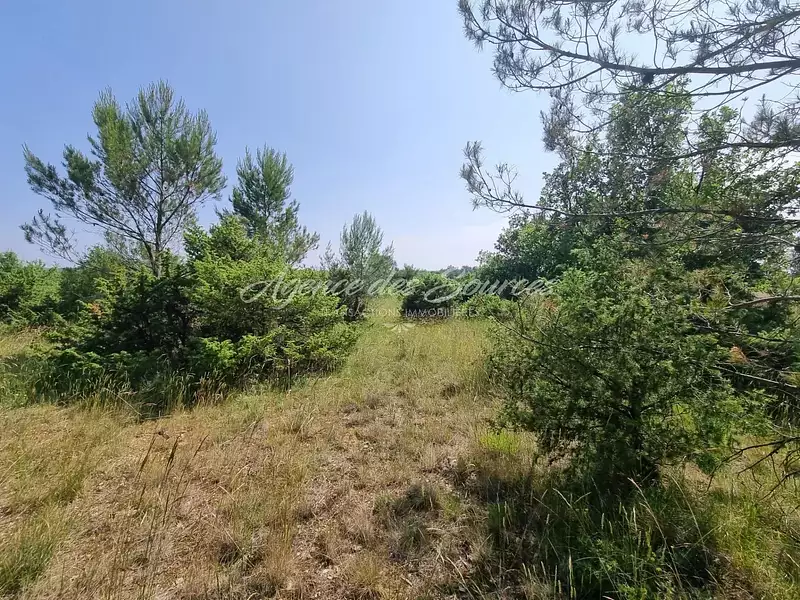 Terrain, 44 320 m²