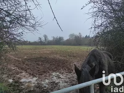 Terrain, 9 250 m²