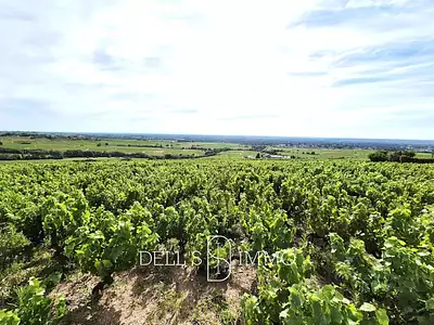Terrain, 20 081 m²