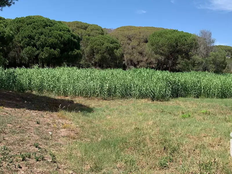 Terrain, 2 561 m²