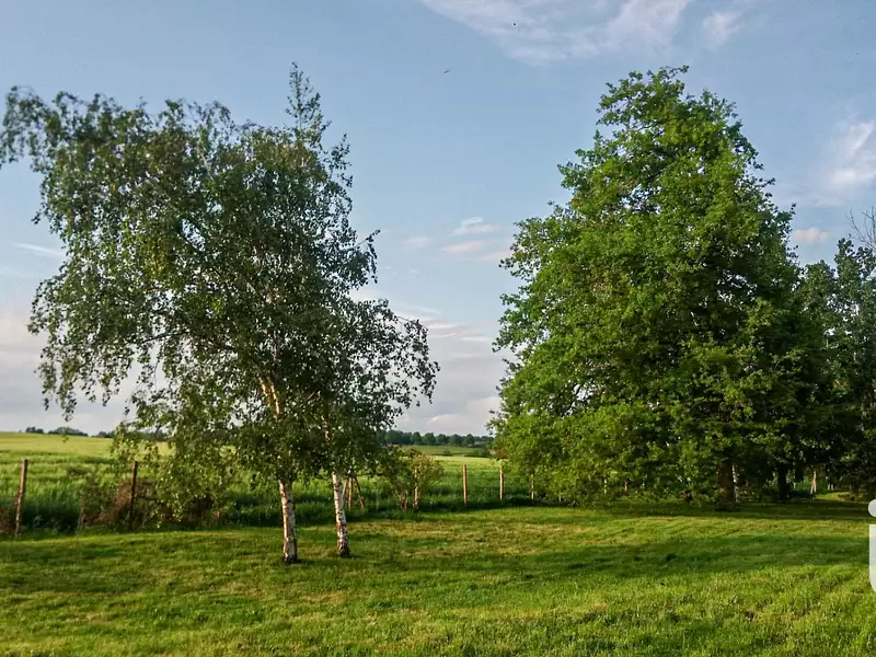 Terrain, 2 500 m²