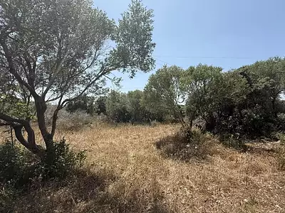 Terrain, 4 600 m²
