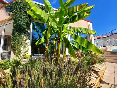 Maison, 1 600 m²