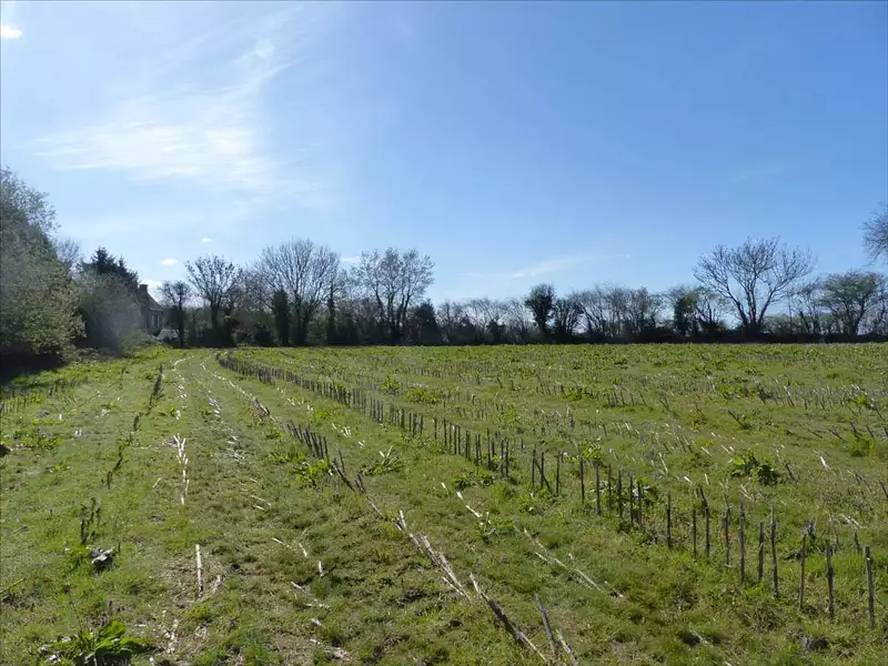 Terrain, 13 535 m²
