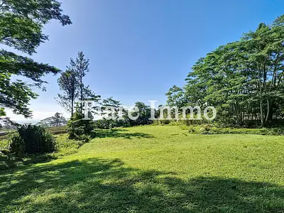 Terrain, 800 m²
