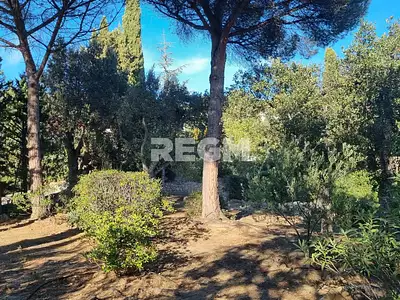 Terrain, 1 345 m²