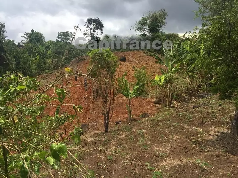 Terrain, 6 969 m²