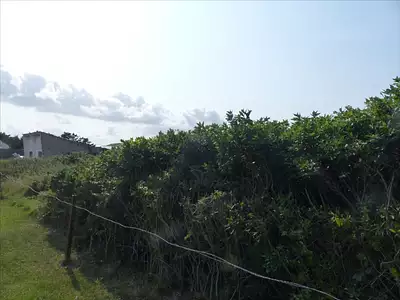 Terrain, 1 678 m²