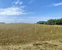 Terrain, 2 000 m²