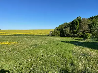 Terrain, 425 m²
