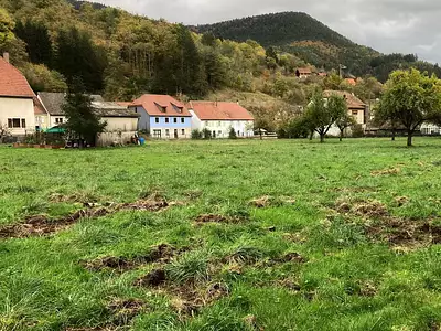 Terrain, 1 488 m²