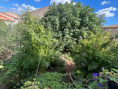 Maison, 300 m²