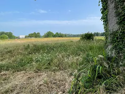 Terrain, 986 m²
