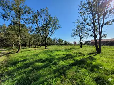 Terrain, 1 100 m²