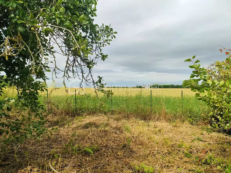 Terrain, 700 m²