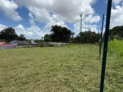 Terrain, 646 m²