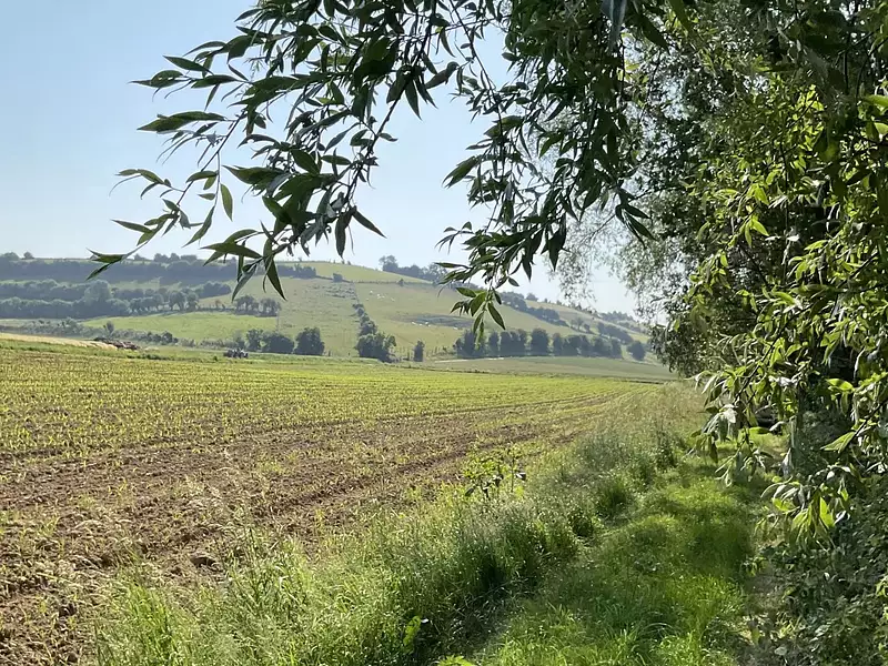 Terrain, 2 600 m²