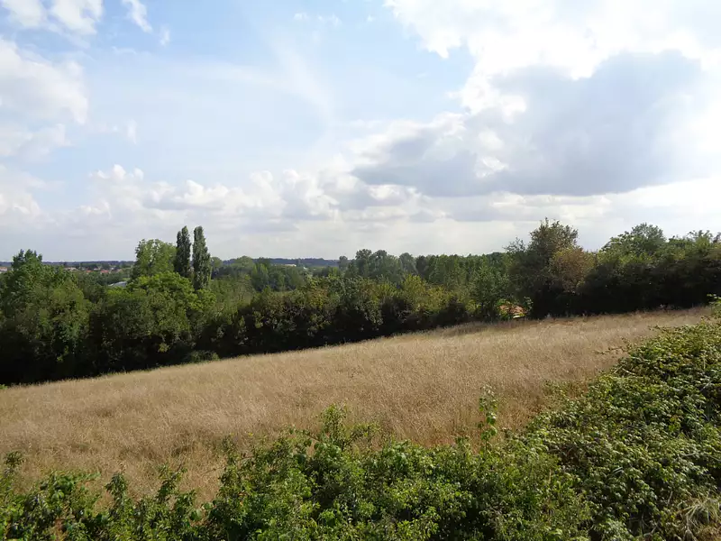 Terrain, 4 911 m²