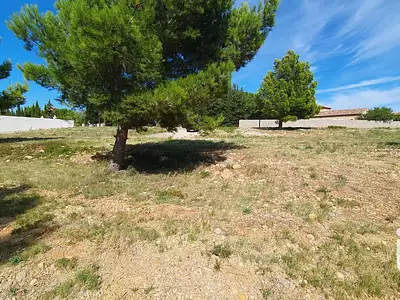 Terrain, 1 017 m²