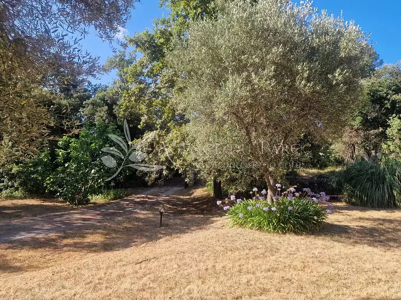 Terrain, 3 000 m²