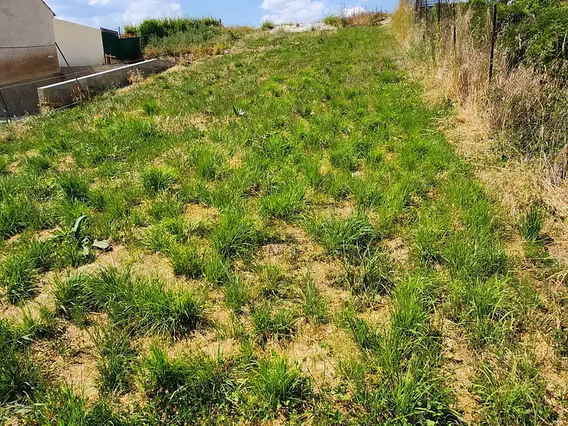 Terrain, 402 m²