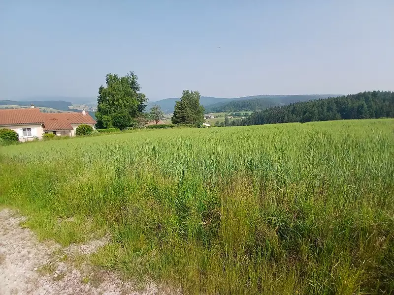 Terrain, 950 m²
