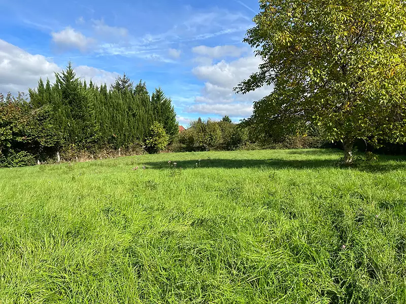 Terrain, 1 170 m²