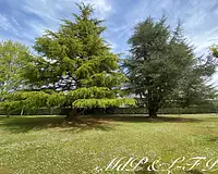 Maison, 180 m²