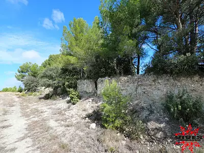 Terrain, 23 990 m²
