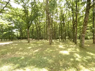 Maison, 171 m²