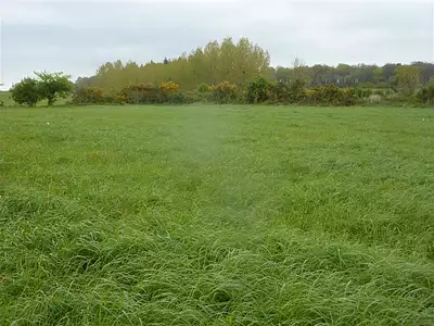 Terrain, 14 517 m²