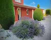 Maison, 353 m²