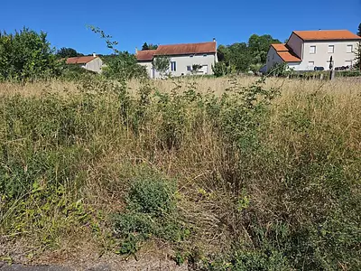 Terrain, 830 m²