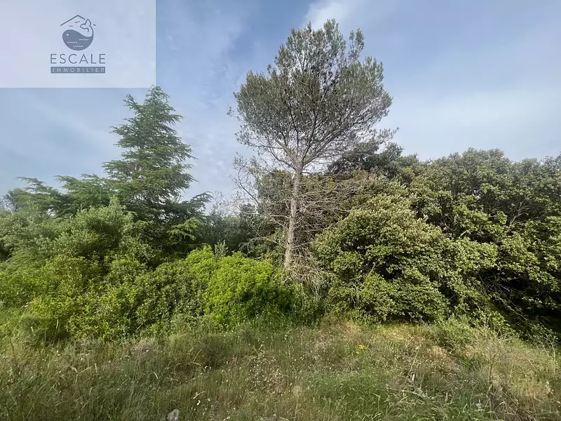 Terrain, 6 091 m²