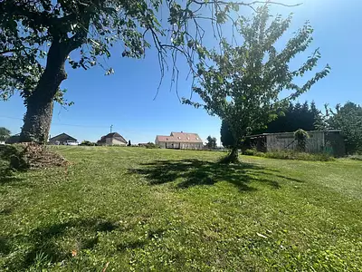Terrain