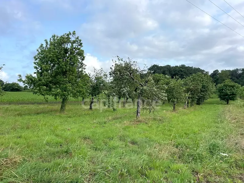 Terrain, 12 510 m²