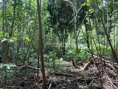 Terrain, 21 400 m²