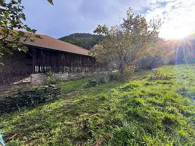 Maison, 250 m²