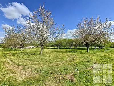 Maison, 325 m²