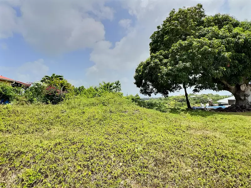 Terrain, 1 000 m²