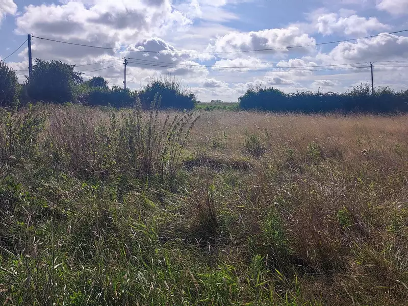 Terrain, 960 m²
