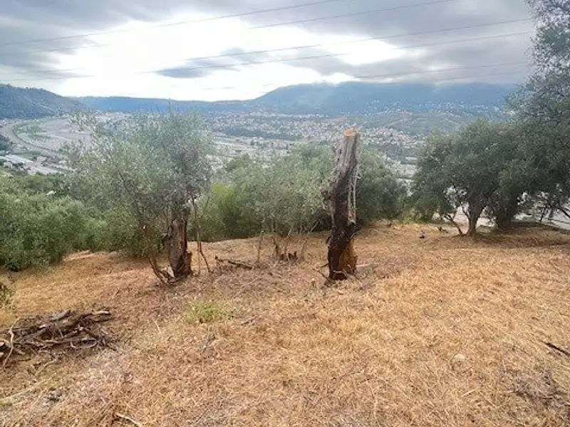 Terrain, 1 127 m²